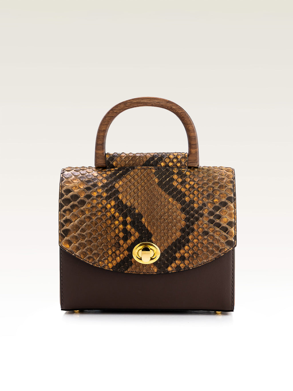 PITÓN MARRÓN INDIO AURORA