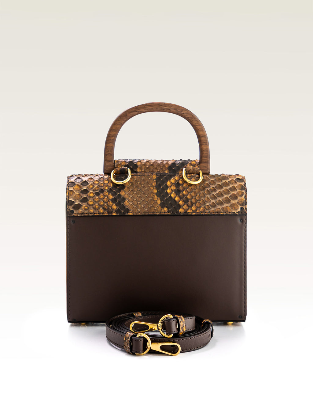 PITÓN MARRÓN INDIO AURORA