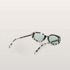 نظارات VENICE BROWN الشمسية